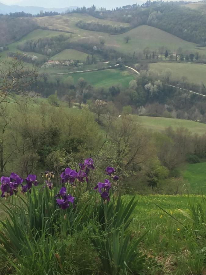 Green B&B Urbino Cá del vento Buitenkant foto